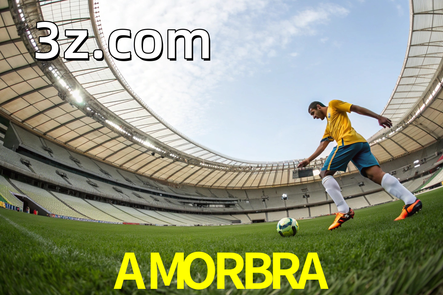 apostas esportivas
